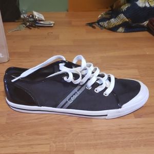 Coach sneaker no box